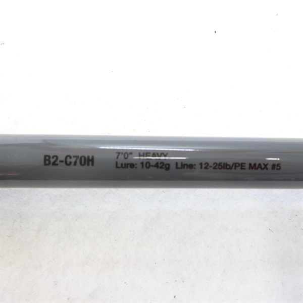 ２２　ＢＰＭ　２ｐｃｓＢ２－Ｃ７０Ｈ